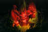 drouge9.jpg (88877 byte)