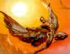 icarus.jpg (28434 byte)